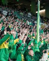 博主：新赛季主场观赛体验提升，工体获准销售无醇啤酒