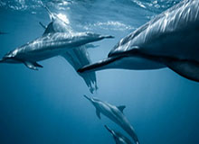 米乐m6yy易游：极致沉浸的全新线上娱乐体验